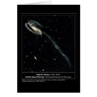 Tadpole Galaxy Hubble Telescope Foto