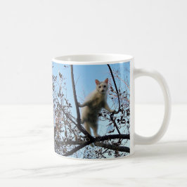 Tadpole Koffiemok