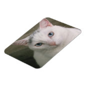 Tadpole Magneet (Linkerzijde)