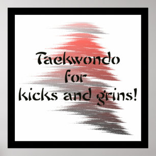 Taekwondo Kicks en Grins Poster