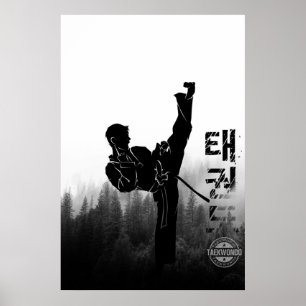 Taekwondo Korean High Kick Poster