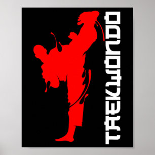 Taekwondo Vechter Vechtkunst Gratis Hoofd Trappen Poster