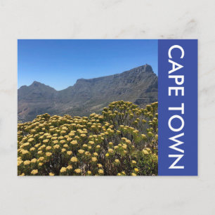 Tafel Bergbloemen Briefkaart