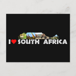 Tafelberg Wildlife Collage Briefkaart