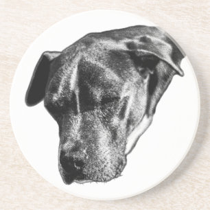 Tafelblad Tranquil—Pitbull Mix Mini Zandsteen Onderzetter