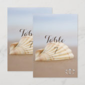 Tafelkaart Strandschelp, Harten Kaart (Voorkant / Achterkant)