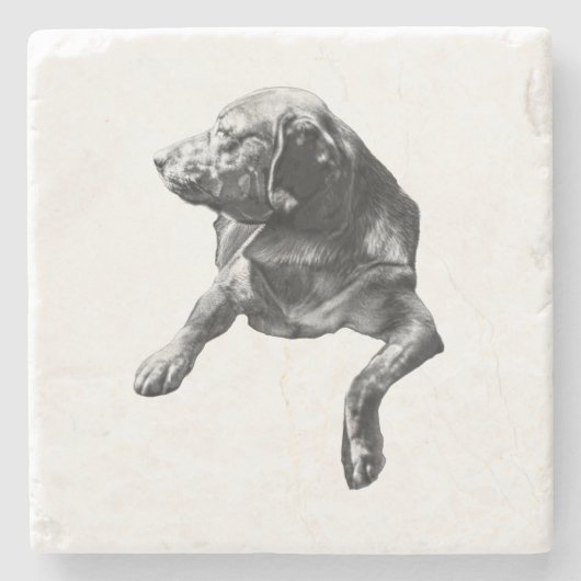 Tafelzijdige pauze, Labrador Stenen Onderzetter (Voorkant)