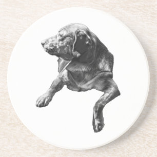 Tafelzijdige pauze, Labrador Zandsteen Onderzetter