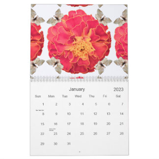 Tagete-ByRino Kalender