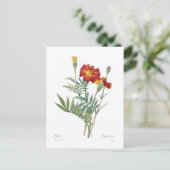 Tagetes Briefkaart (Staand voorkant)