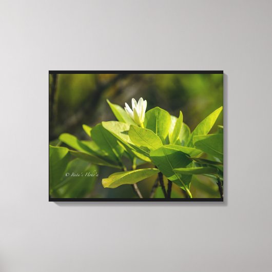 Tahiti-fotografie Itata'e Hoho'a Canvas Afdruk (Voorkant)