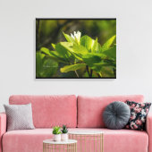 Tahiti-fotografie Itata'e Hoho'a Canvas Afdruk (Insitu (Woonkamer))