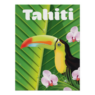 Tahiti Toucan reisprint Perfect Poster