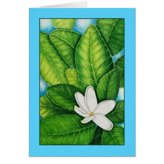 Tahitian Gardenia