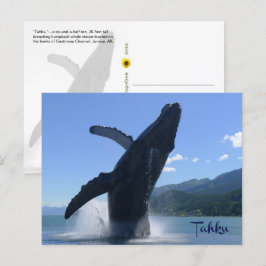 "Tahku"— het doorbreken van een bultrug walvisbeel Briefkaart