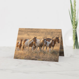 Tahlequah en zijn Wenskaart Bedankkaart