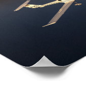 Tahoe's Diamond Poster (Hoek)