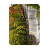 Tahquamenon Herfsten in Herfst Magneet (Verticaal)