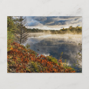 Tahquamenon   Paradise, Michigan Briefkaart