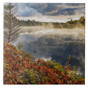 Tahquamenon-rivierzonsopgang   Paradise, Michigan Tegeltje