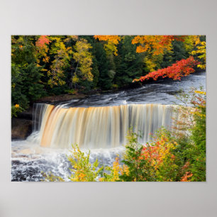 Tahquamenon supérieur tombe en affiche d'automne