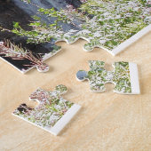 Tahquamenon tombe puzzle (Côté)