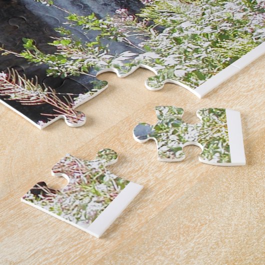 Tahquamenon tombe puzzle (Côté)