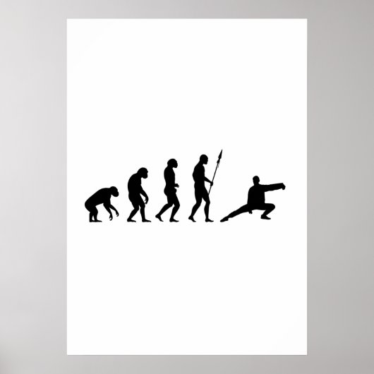 tai chi evolutie poster (Voorkant)
