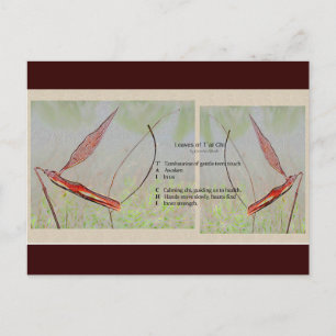 Tai Chi gedicht Briefkaart