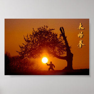 Taichi (taiji), zonne-kersenboom poster