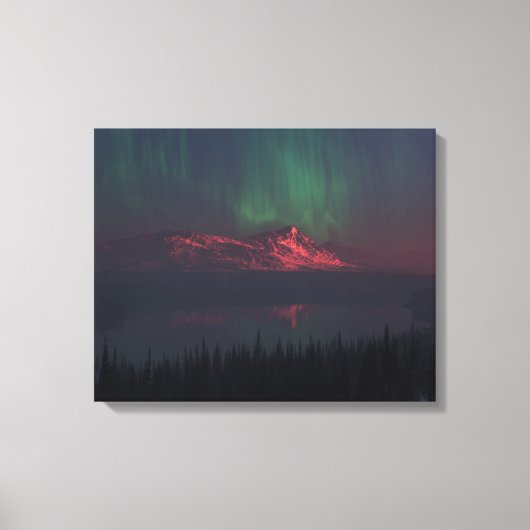 Taiga Canvas Afdruk (Voorkant)