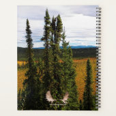 Taiga été (Dos)