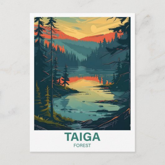 Taiga Forest Illustratie Reizen Briefkaart (Voorkant)