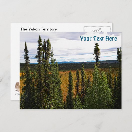 Taiga Summer Briefkaart (Voorkant / Achterkant)