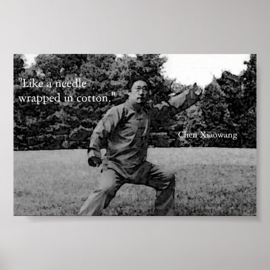 Taiji Poster (Voorkant)