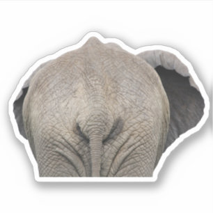 Tail Elephant Photo Sticker