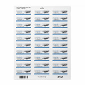 Taildragger-vliegtuig Etiket (Full Sheet)