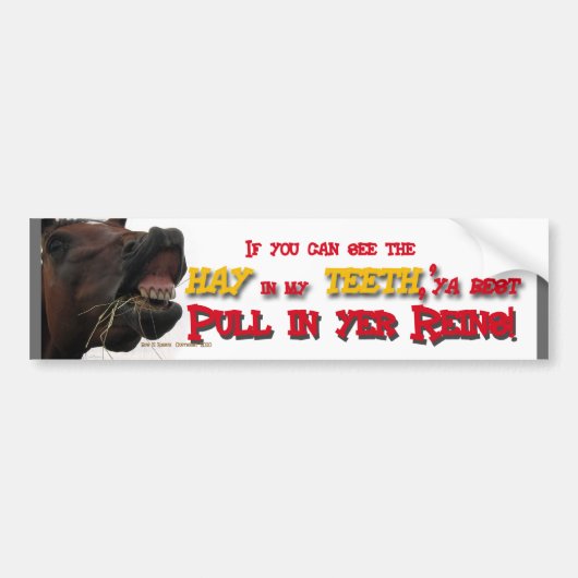 Tailgating Funny Horse Bumpersticker (Voorkant)