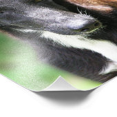 Taille personnalisée 8 X 10 Impression photo (Coin)