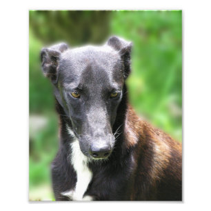 Taille personnalisée 8 X 10 Impression photo