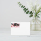 Tailor Dave Cartes de visite (Debout devant)