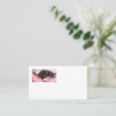 Tailor Dave Cartes de visite américains (Debout devant)