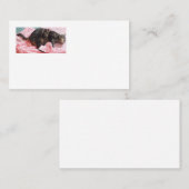 Tailor Dave Cartes de visite américains (Devant / Derrière)