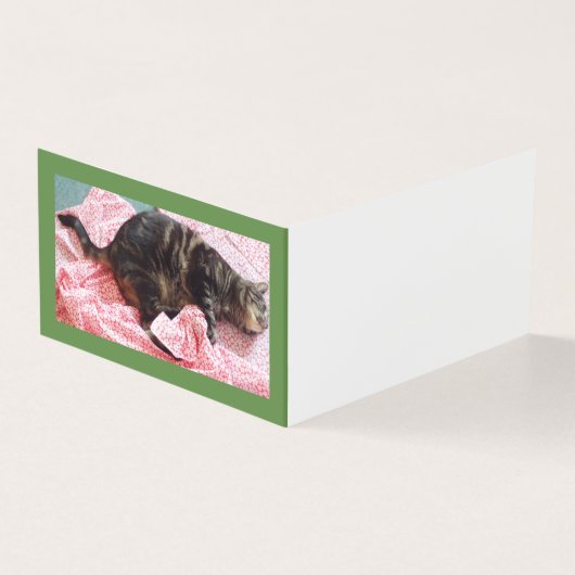 Tailor Dave Folded Horizontal Book Table Card Kaart (Buitenkant)