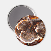 Tails paddestoel Magnet Magneet (Voorkant / Achterkant)