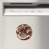 Tails paddestoel Magnet Magneet (Insitu (Vaatwasser))