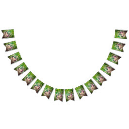 Taino Coqui Frog Flag Vlaggetjes