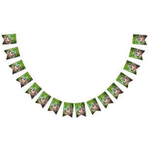 Taino Coqui Frog Flag Vlaggetjes