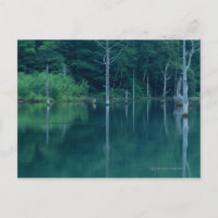 Taisho Pond