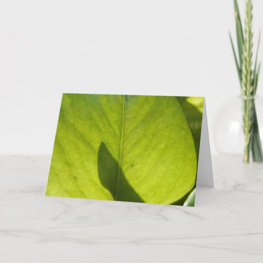 Taiwan Flora Leaf Kaart (Voorkant)